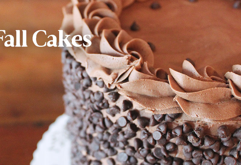 Merridee's Deep Dark Chocolate Cake